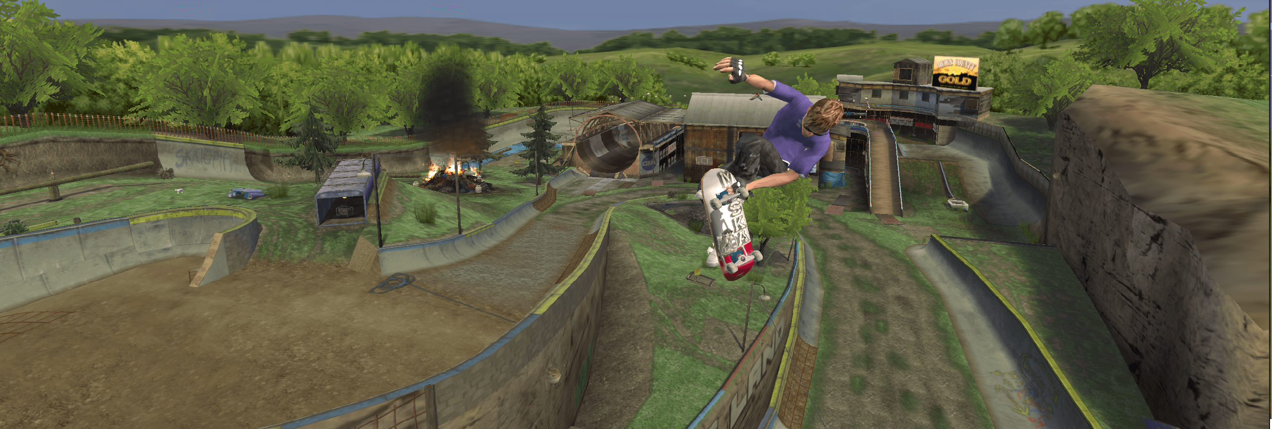 Tony Hawk's Pro Skater high score leaderboards